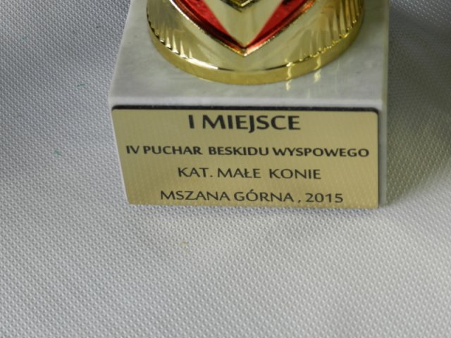 Rajd Mszana Górna 2015